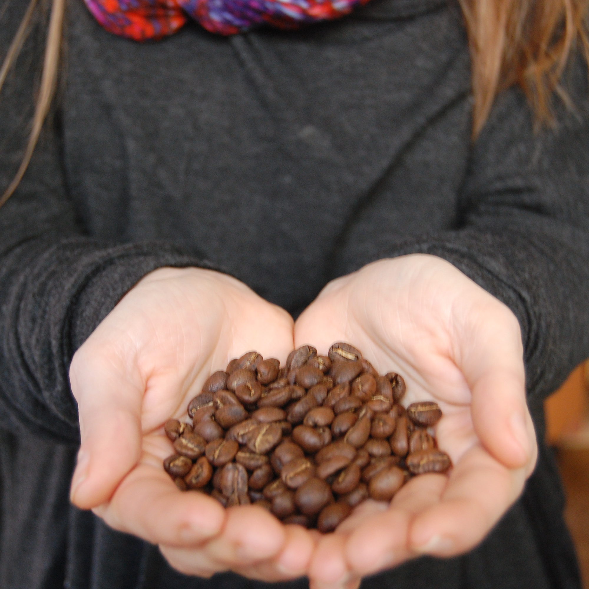 espresso michelangelo